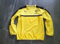 Sweatshirt/Warmmachpulli BVB, Größe 164 gelb Nordrhein-Westfalen - Unna Vorschau