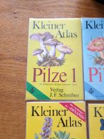 Schreibers  "Kleiner Atlas " div. Titel Baden-Württemberg - Neidlingen Vorschau