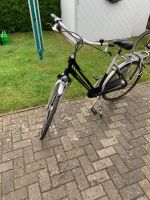 Raleigh Superbe Fahrrad Niedersachsen - Wildeshausen Vorschau