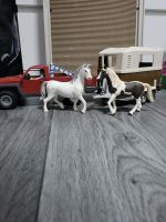 Schleich Pickup mit Pferde Anhänger und 2 Schleich Pferden Brandenburg - Blankenfelde-Mahlow Vorschau