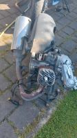 Kymco yup 50 Motor Nordrhein-Westfalen - Ahlen Vorschau