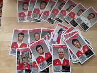 Quartett FC Bayern München 2009/10 Sachsen-Anhalt - Allstedt Vorschau