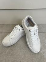 Ledersneaker für Damen/Kinder, Gr.35. Neu (Tamaris) Nordrhein-Westfalen - Detmold Vorschau