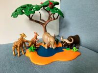 Playmobil Safari Wasserstelle Baden-Württemberg - Baden-Baden Vorschau