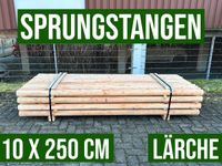 Sprungstangen Hindernisstangen Rundhölzer Holz - 10 x 250 LÄRCHE Nordrhein-Westfalen - Lennestadt Vorschau