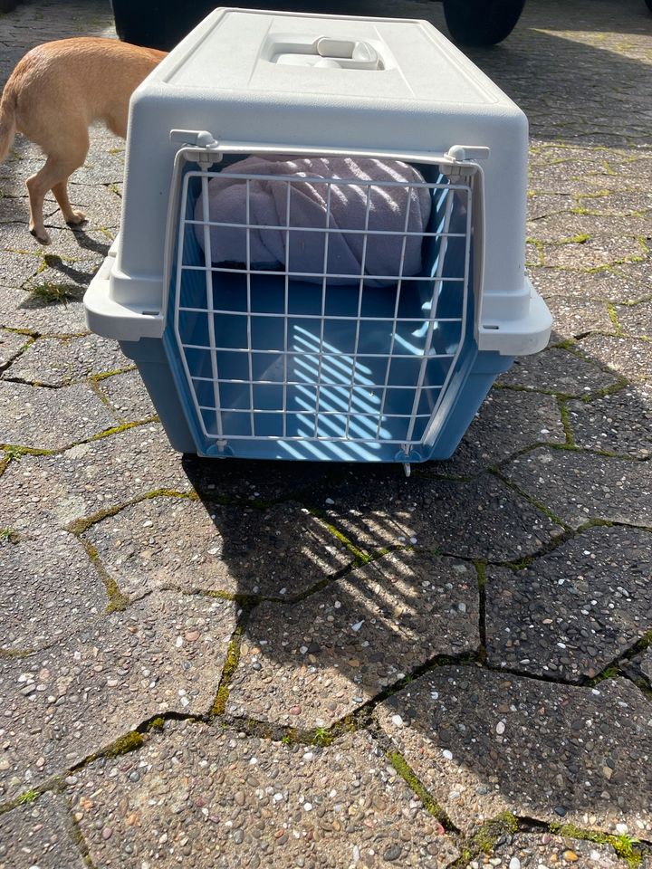 Transportbox in Freiburg im Breisgau