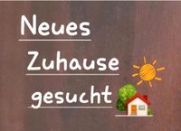 Ehepaar 63+64 ges. Einkommen,öD.sucht 3.5 Wohnung Nordrhein-Westfalen - Herne Vorschau