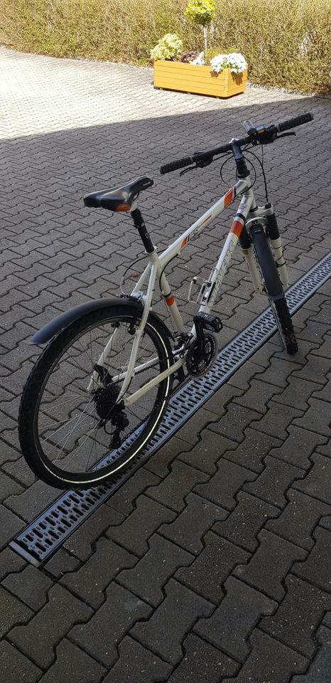Herren Fahrrad in Schönberg