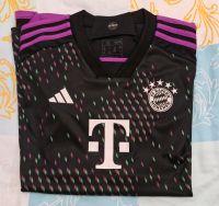 Fc Bayern Frauen Trikot Bayern - Lauingen a.d. Donau Vorschau