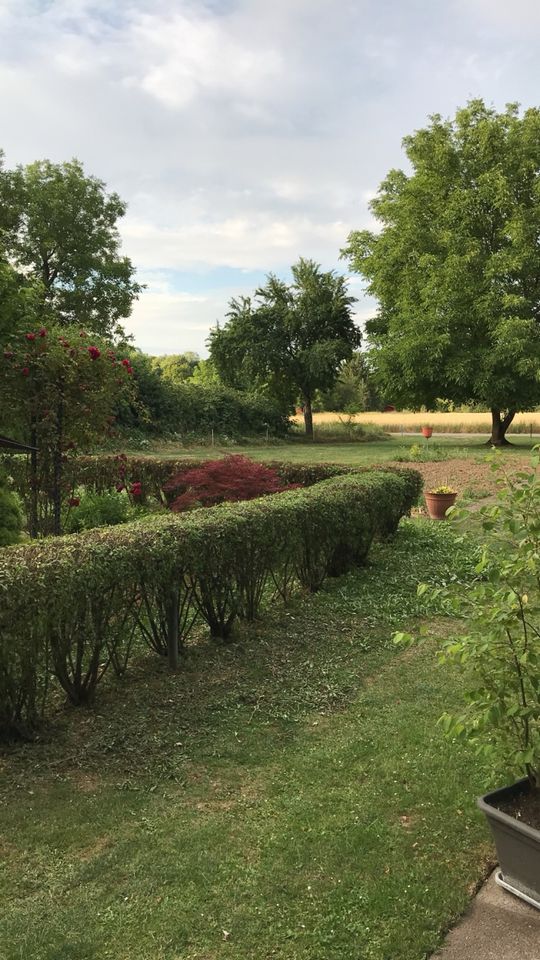 Gartengestaltung / Gartenarbeiten / Rasen Mähen und vieles mehr… in Benningen