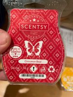 Scentsy Cinnamon Bear (Suche) Bayern - Castell Unterfranken Vorschau