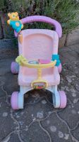 Lauflernwagen Fisher Price Thüringen - Sondershausen Vorschau