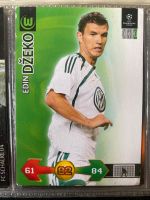 Panini Karten Champions League 2009-2010 Niedersachsen - Oldenburg Vorschau