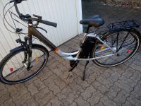 2 x Prophet 28 Zoll E-Bike. 7 Gang Shimano-Nexus-Nabenschaltung Hannover - Bothfeld-Vahrenheide Vorschau