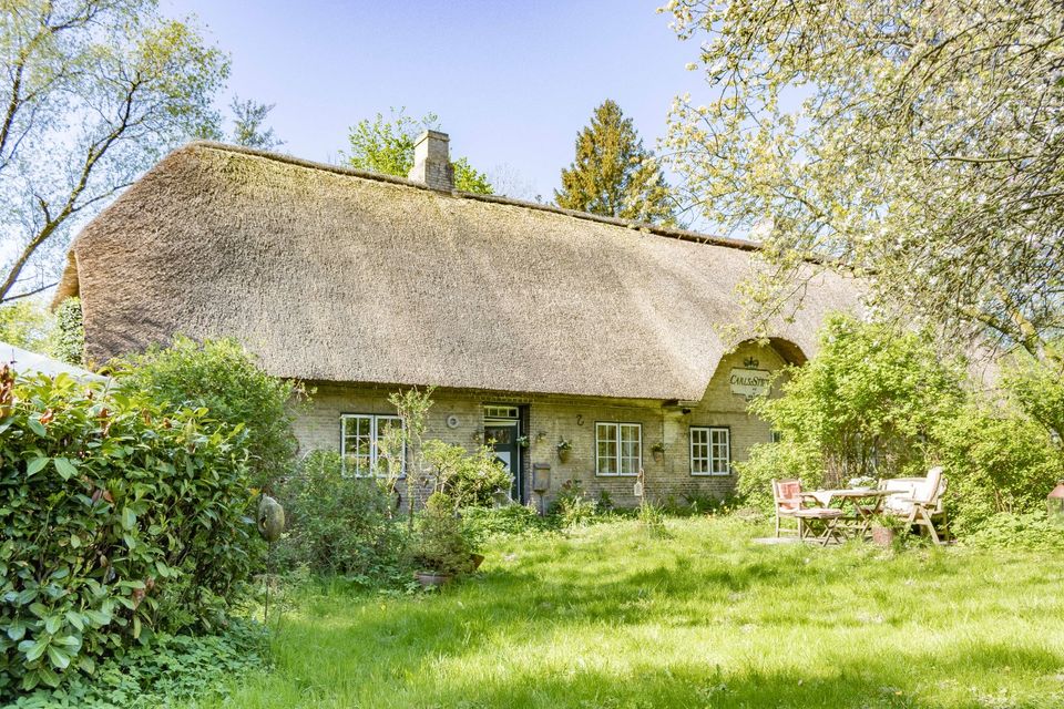 Reetdachhaus im Dornröschenschlaf in Schleinähe in Güby