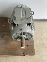 Elektromotor Motor Kurzschlussläufer E-Motor 18,5 KW 1500 1/min Baden-Württemberg - Unterschneidheim Vorschau