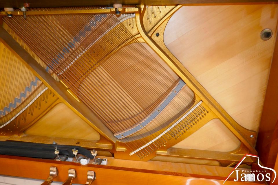 Besonderes Schimmel Klavier ✱ Braunschweiger Produkion ✱ 118 cm in Königsbrunn
