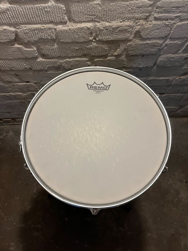 Pearl Export 13“ Tom in Wienburg