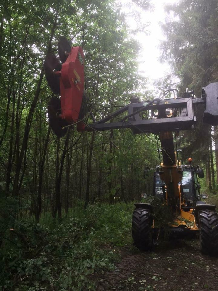 Freischneiden / Lichtraumprofil / Heckenschnitt in Balve