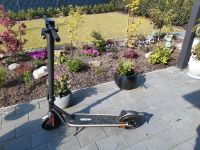 E Roller Scooter Nordrhein-Westfalen - Attendorn Vorschau