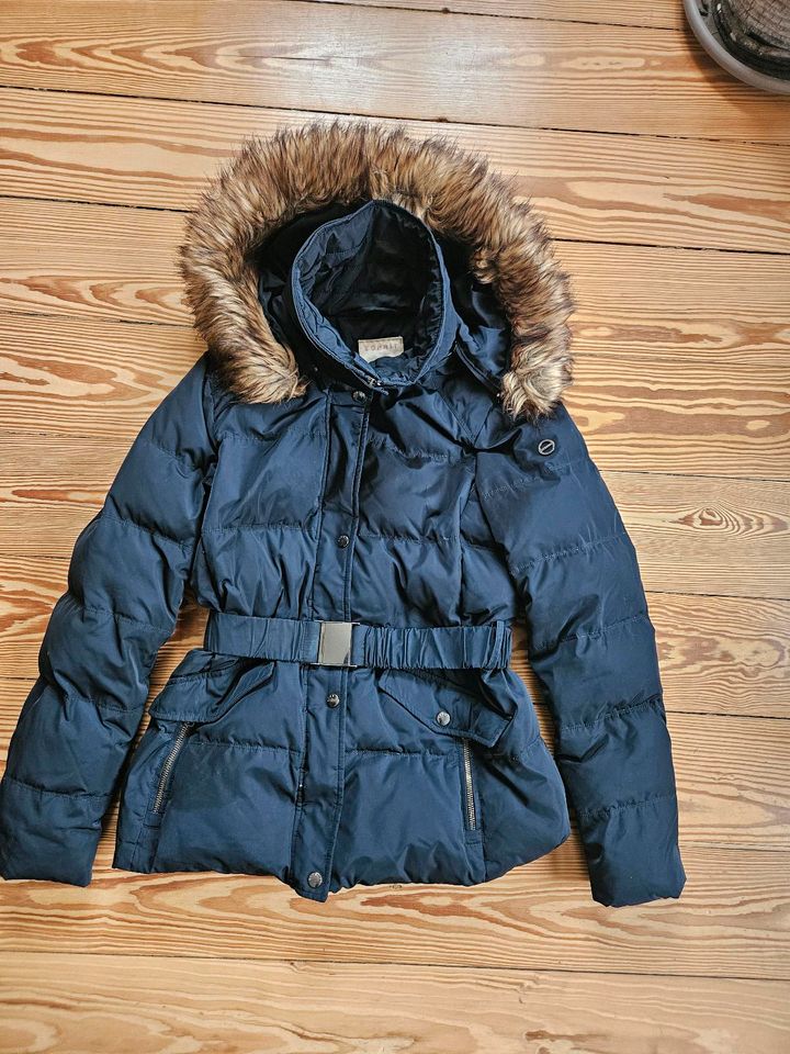 Winterjacke für Damen von Esprit in Jesteburg