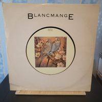 12" Maxi: Blancmange - Don't tell me (UK Import, Big Labels) Köln - Nippes Vorschau