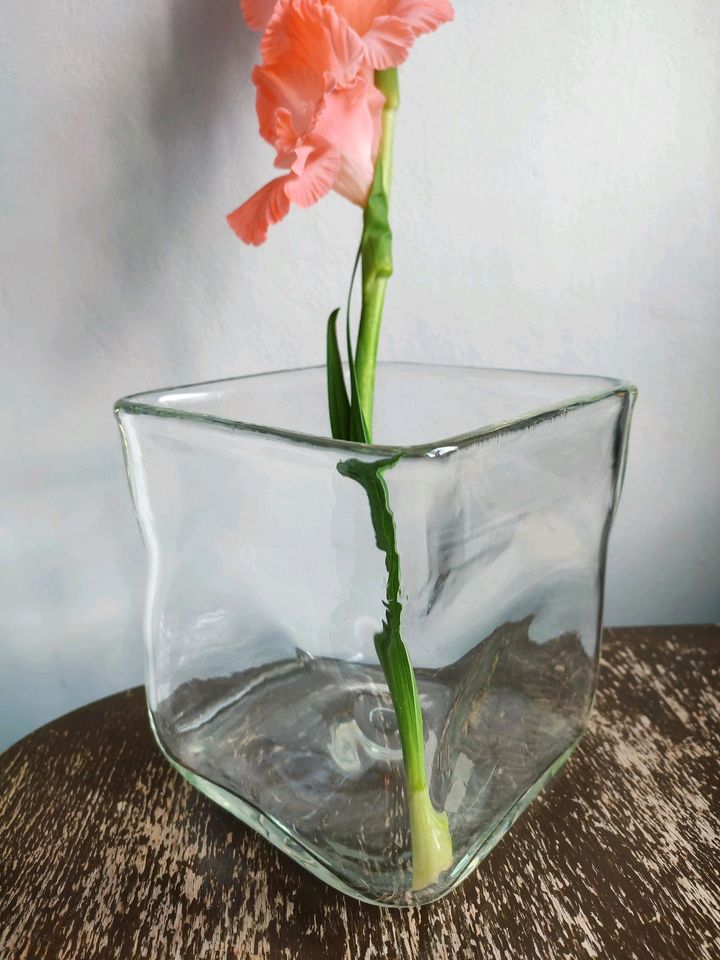 Glasvase Pflanzgefäß Vase Glasgefäß Glasbehälter Blumenvase in Berlin