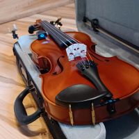 Roth & Junius RJV-A Antiqued Violin Set 4/4 mit Zubehör Bayern - Marktredwitz Vorschau