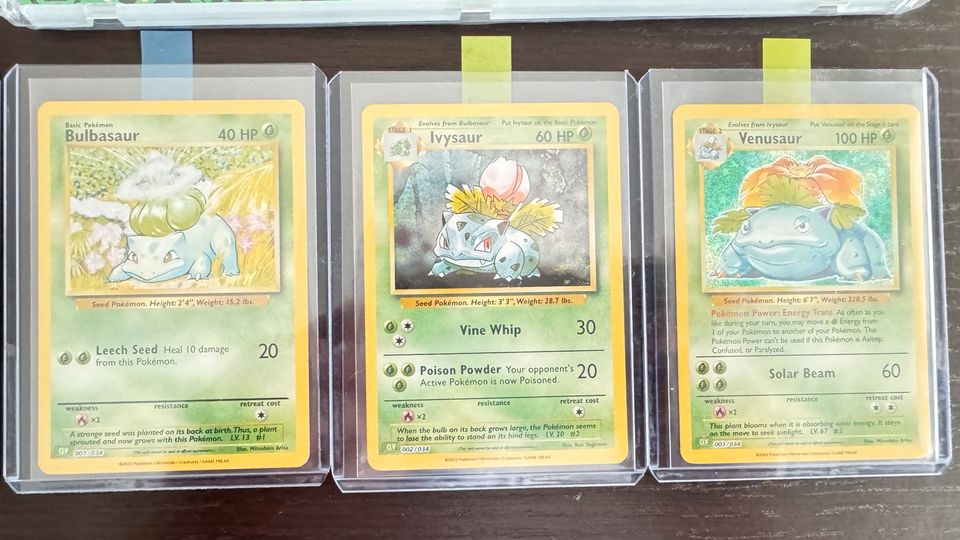 Pokemon Classic Collection alle Starter + Entwicklungen ENG in Nideggen / Düren