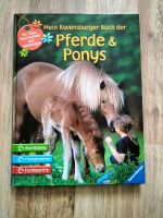 Ravensburger Buch der "Pferde& Ponys" Sachsen - Riesa Vorschau