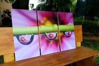 ☆ großes Leinwand Bild 3teilig ☆ Triptichon pink rosa lila Blumen Hessen - Habichtswald Vorschau