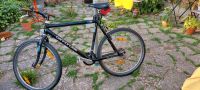 Cannondale Mountain 1000 Buil Fahrrad Bike Mountainbike Schleswig-Holstein - Gettorf Vorschau