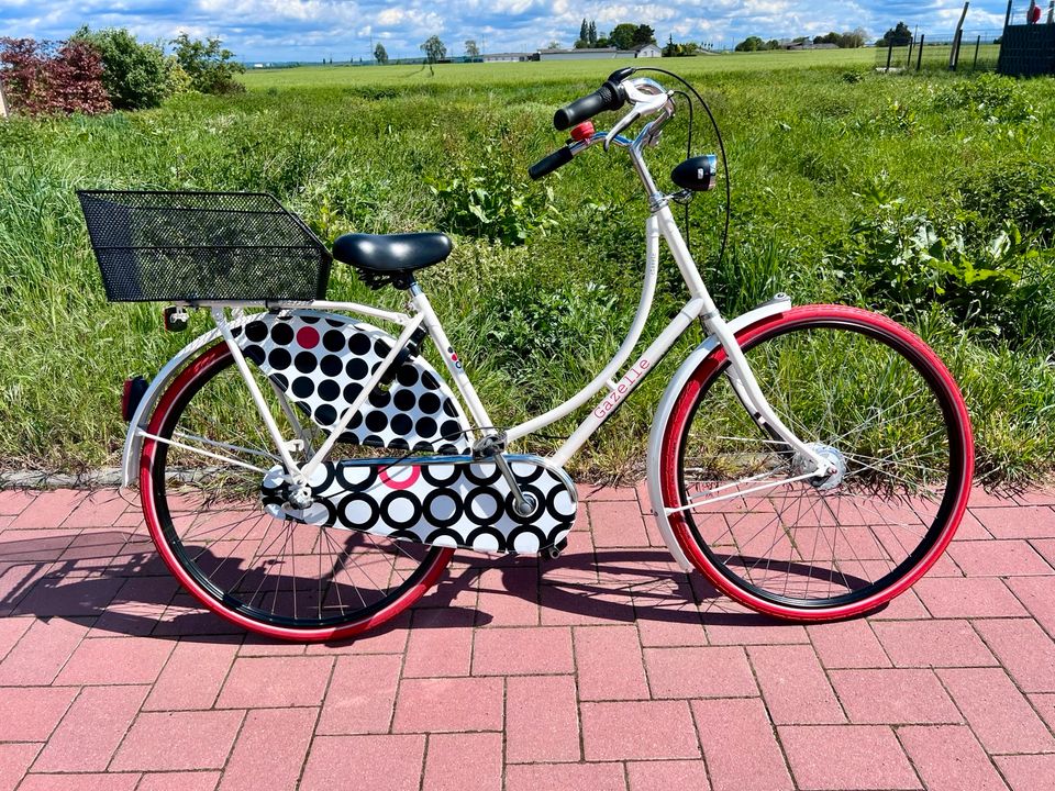 Fahrrad Gazelle Classic dots (weiß-rot-schwarz) 28 Zoll in Niederkassel