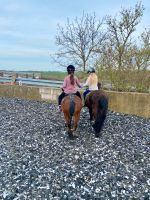 Kindergeburtstag Kinderparty Reiten Ponyreiten Güstrow - Landkreis - Bützow Vorschau