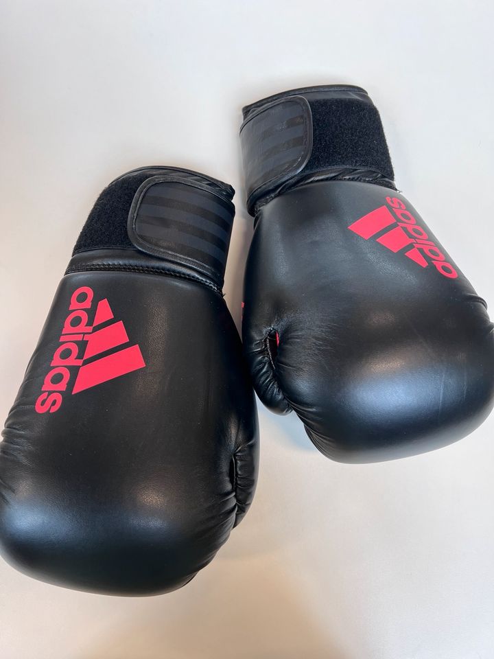 Adidas Boxhandschuhe HYBRID 50 in Offenburg