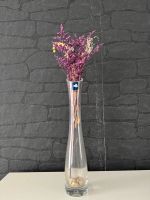 Leonardo Vase mit Trockenblume Duisburg - Fahrn Vorschau