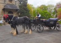 Hochzeitskutsche für große Pferde Hessen - Wabern Vorschau