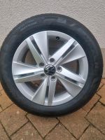 205/55R16 Original VW Sommerkompletträder Golf seeehr schick Thüringen - Saalfeld (Saale) Vorschau