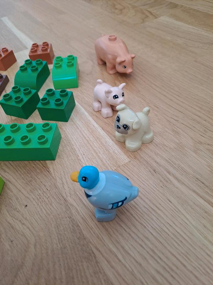 Duplo Tiere mit Zaun und Steinen in BadenWürttemberg Waiblingen