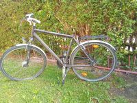 Herrenfahrrad, Pegasus,28 Zoll, Felgendynamo Bayern - Fürstenfeldbruck Vorschau