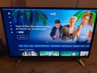 Fernseher 40 Zoll Telefunken Hessen - Limburg Vorschau