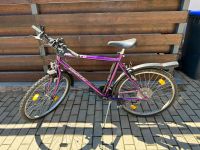 Lila Fahrrad Sachsen - Plauen Vorschau