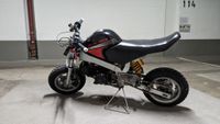 Skyteam PBR 190ccm Minibike Magura HC1 München - Altstadt-Lehel Vorschau