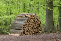 Brennholz Buche Kaminholz Ofenholz Hessen - Melsungen Vorschau