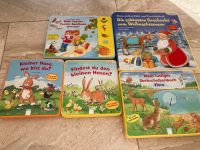 Kiddilight Kinderbücher Hase Tiere Jahreszeiten Sachsen - Röhrsdorf Vorschau
