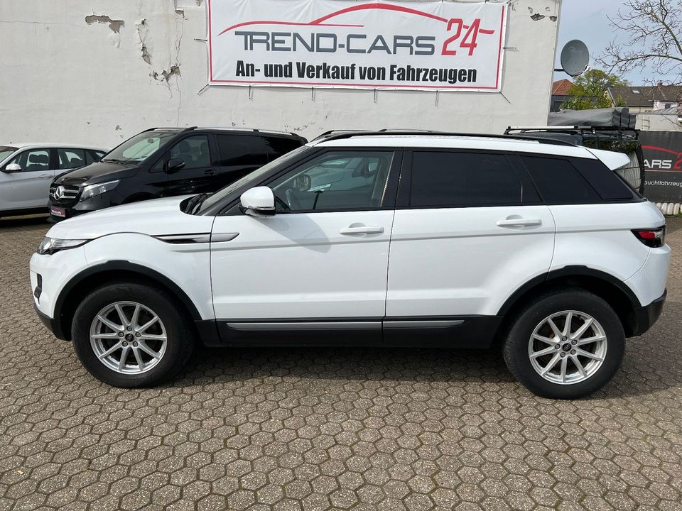 Land Rover Range Rover Evoque Pure in Mönchengladbach