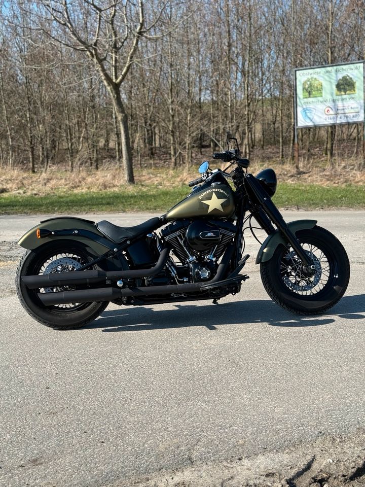 Harley-Davidson Softail Slim S, Chopper in Fröndenberg (Ruhr)