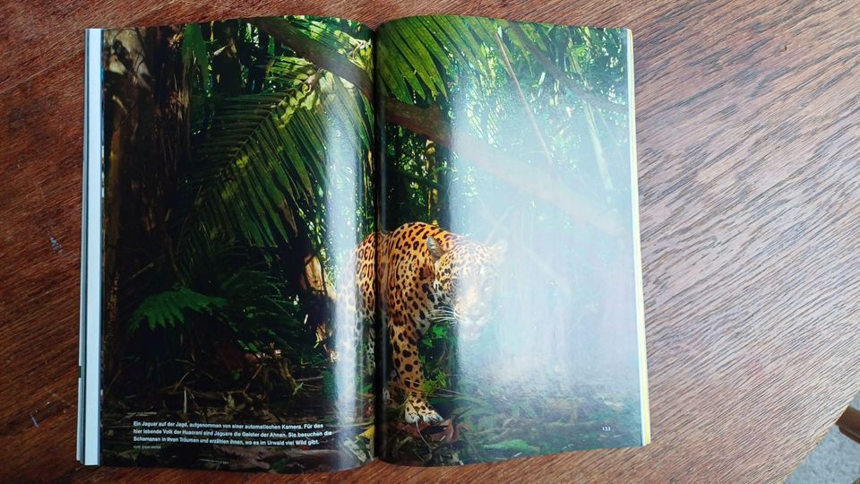 National Geographic. Das Jubiläumsheft + XXL-Poster Mammutbaum in Ottendorf-Okrilla
