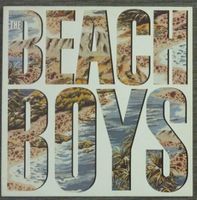 Schallplatte / Vinyl / LP - The Beach Boys - LP Bayern - Kösching Vorschau