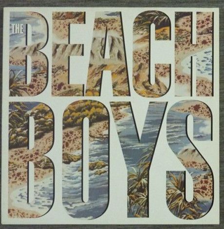 Schallplatte / Vinyl / LP - The Beach Boys - LP in Kösching